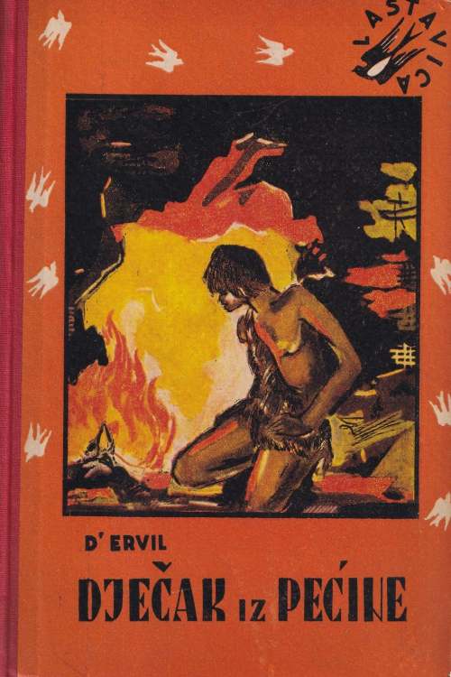 Dječak iz pećine - D' Ervil, naslovnica knjige