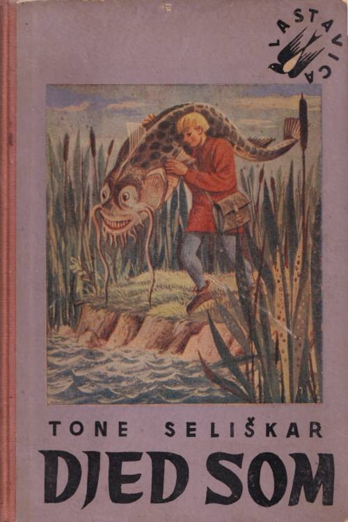 Djed Som - Tone Seliškar, naslovnica knjige