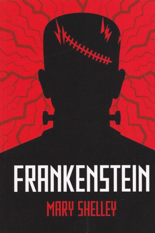 Frankenstein - Marry Shelley, naslovnica knjige