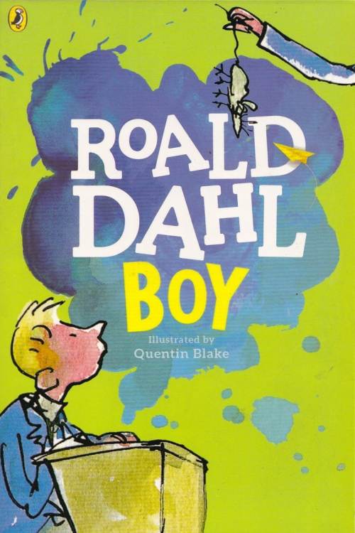 Boy - Roald Dahl, naslovnica knjige