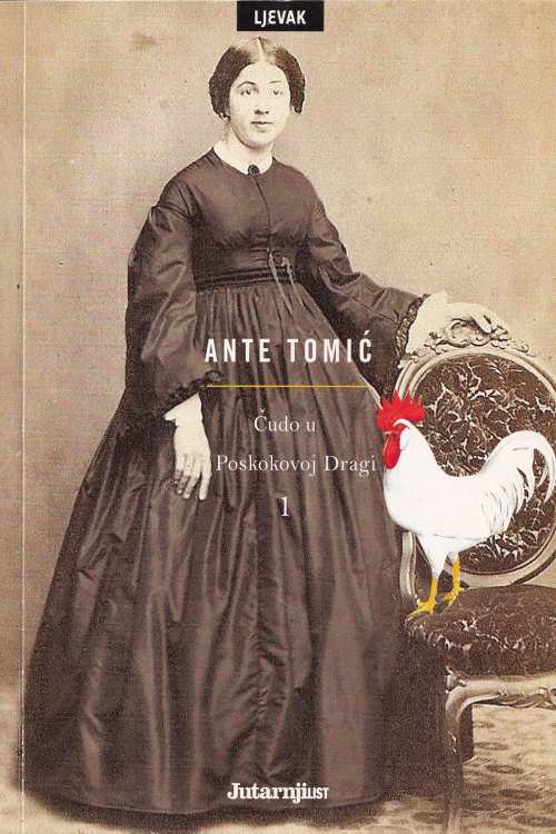 Čudo u Poskokovoj Dragi 1. dio - Ante Tomić, naslovnica knjige
