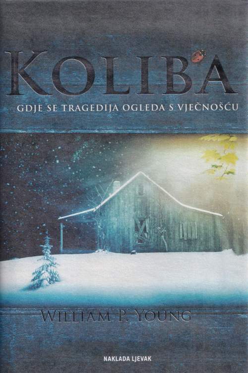 Koliba - William P. Young, naslovnica knjige