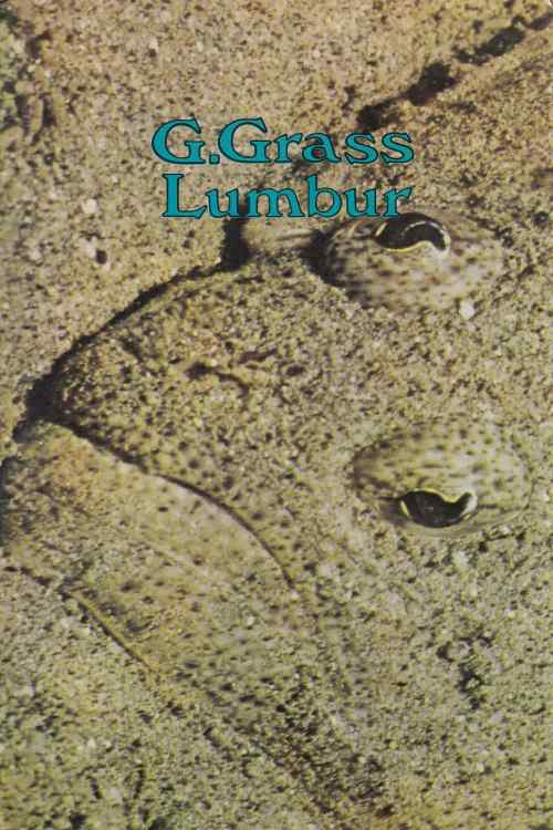 Lumbur - Gunter Grass, naslovnica knjige