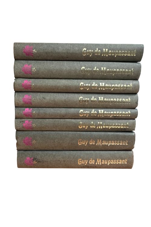 Odabrana djela 1 - 8 - Guy de Maupassant, naslovnica knjige