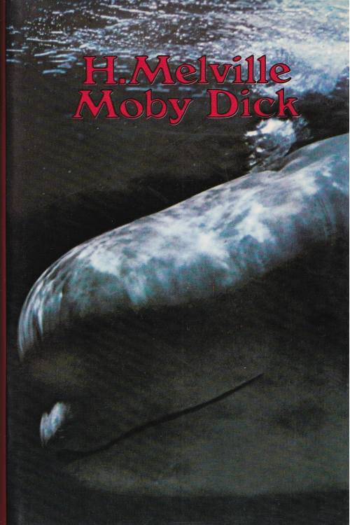 Moby Dick - Herman Melville, naslovnica knjige