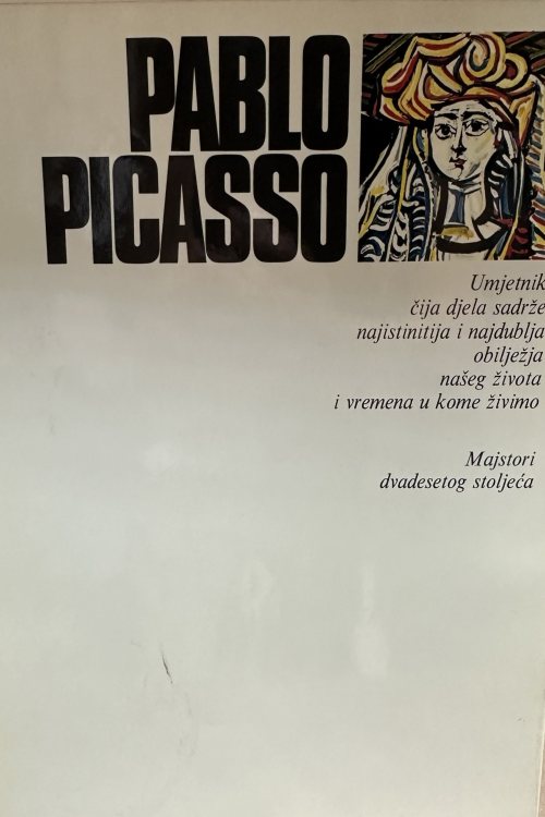 Majstori dvadesetog stoljeća: Pablo Picasso - Hans L. Jaffe, naslovnica knjige