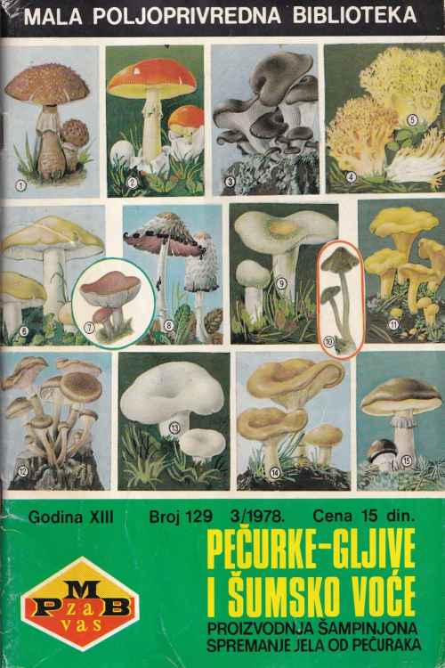 Mala poljoprivredna biblioteka: Pečurke - gljive i šumsko voće br. 129/1978, naslovnica knjige